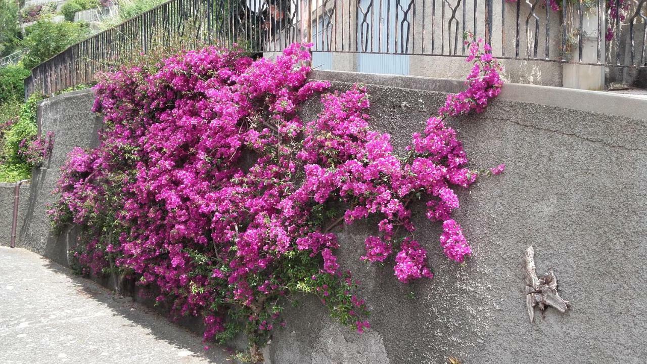 Villa Un Gioiello Con Vista Mare Moneglia Exterior foto